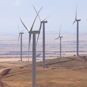 1 Wind 1 Wind